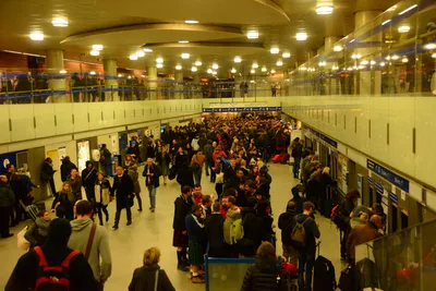 DSC_0704 (Large).JPG